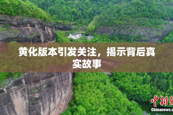 黄化版本引发关注，揭示背后真实故事