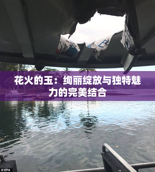 花火的玉：绚丽绽放与独特魅力的完美结合