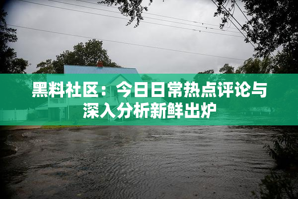 黑料社区：今日日常热点评论与深入分析新鲜出炉
