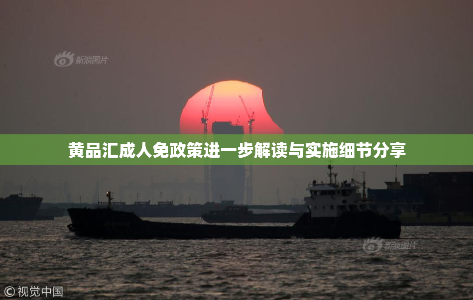 黄品汇成人免政策进一步解读与实施细节分享
