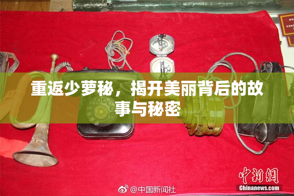 重返少萝秘，揭开美丽背后的故事与秘密