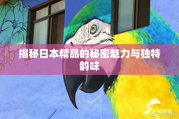 揭秘日本精品的秘密魅力与独特韵味