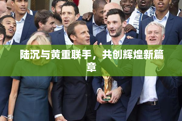 陆沉与黄重联手，共创辉煌新篇章