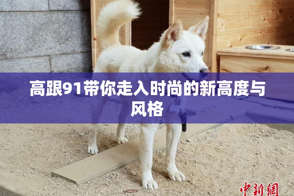 高跟91带你走入时尚的新高度与风格