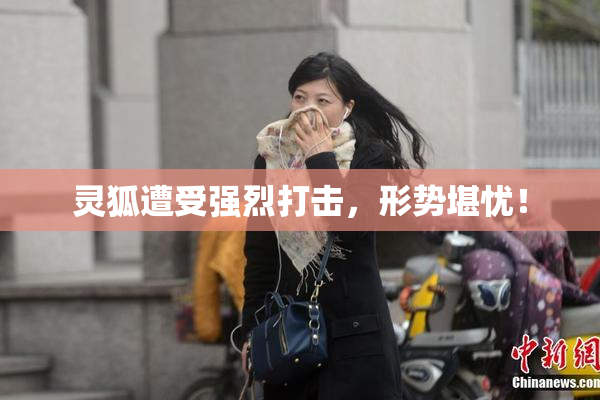 灵狐遭受强烈打击，形势堪忧！