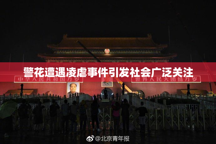 警花遭遇凌虐事件引发社会广泛关注