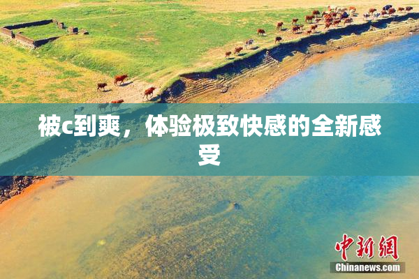 被c到爽，体验极致快感的全新感受