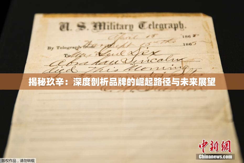 揭秘玖辛：深度剖析品牌的崛起路径与未来展望