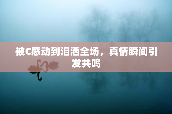 被C感动到泪洒全场，真情瞬间引发共鸣