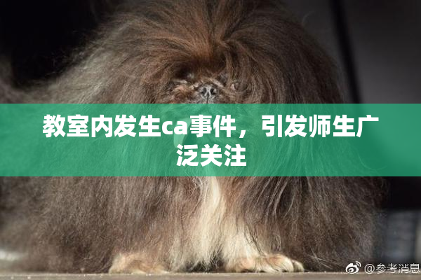 教室内发生ca事件，引发师生广泛关注