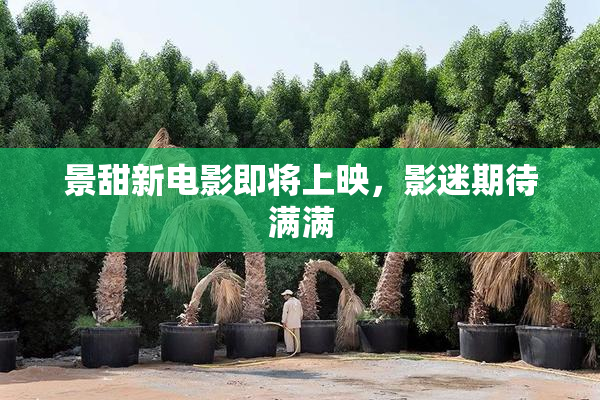 景甜新电影即将上映，影迷期待满满