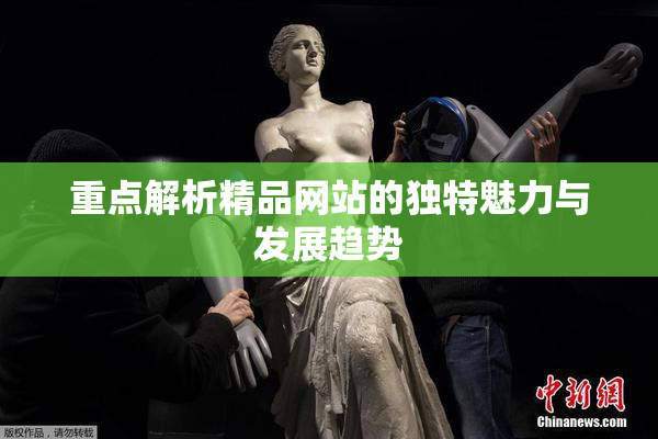 重点解析精品网站的独特魅力与发展趋势
