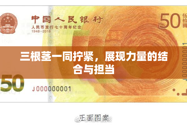 三根茎一同拧紧，展现力量的结合与担当