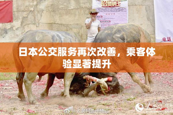 日本公交服务再次改善，乘客体验显著提升
