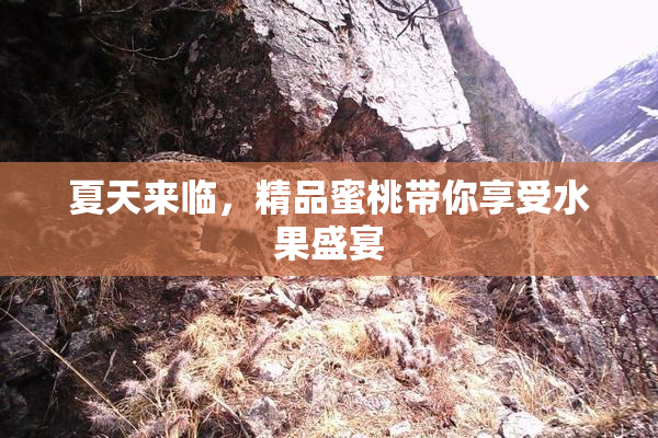 夏天来临，精品蜜桃带你享受水果盛宴