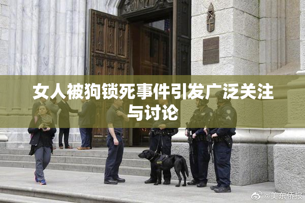 女人被狗锁死事件引发广泛关注与讨论