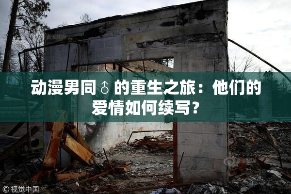 动漫男同♂的重生之旅：他们的爱情如何续写？