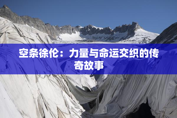 空条徐伦：力量与命运交织的传奇故事