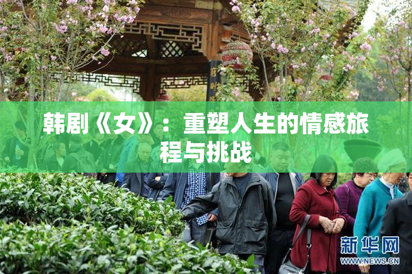 韩剧《女》：重塑人生的情感旅程与挑战