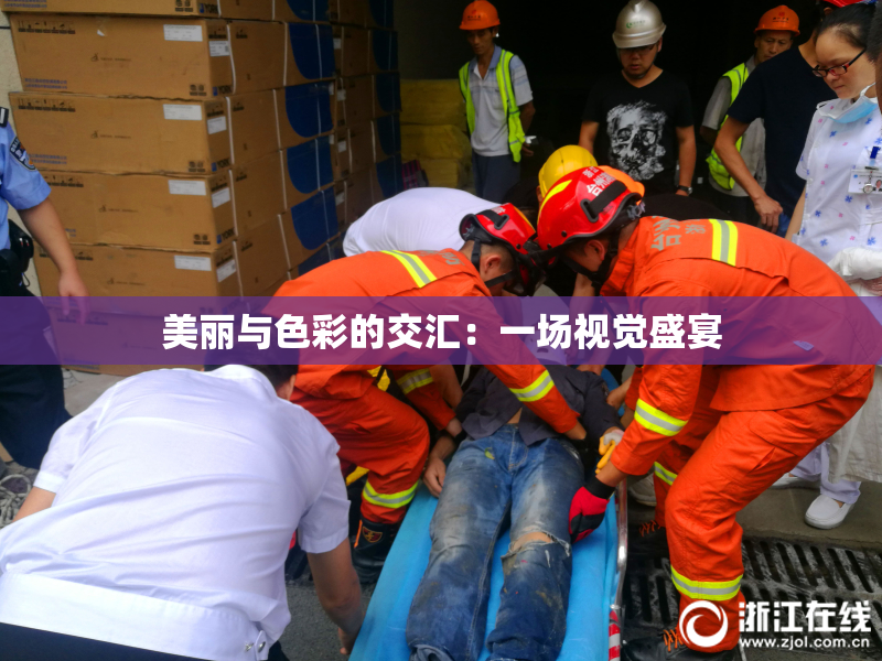 美丽与色彩的交汇：一场视觉盛宴