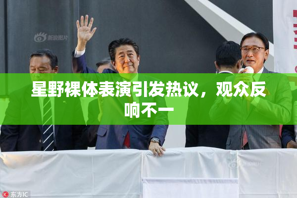 星野裸体表演引发热议，观众反响不一