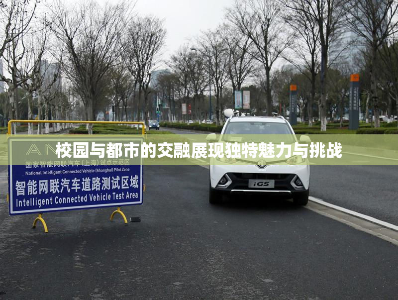 校园与都市的交融展现独特魅力与挑战