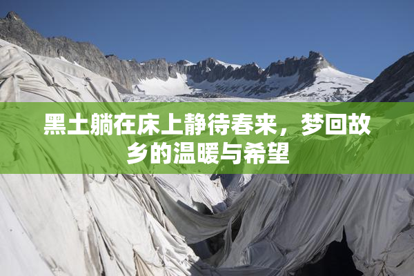 黑土躺在床上静待春来，梦回故乡的温暖与希望