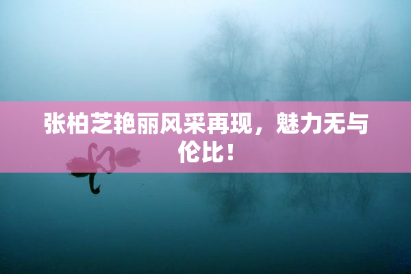 张柏芝艳丽风采再现，魅力无与伦比！