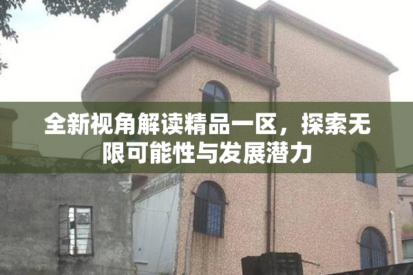 全新视角解读精品一区，探索无限可能性与发展潜力