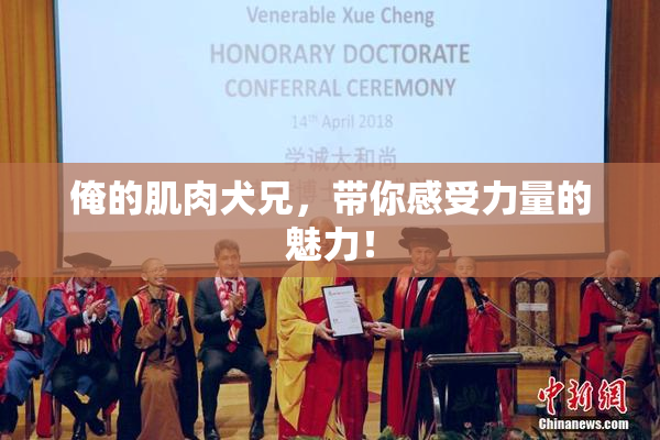 俺的肌肉犬兄，带你感受力量的魅力！