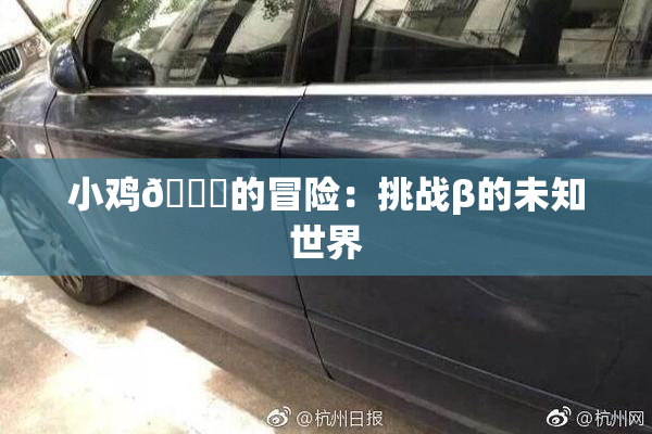 小鸡🐔的冒险：挑战β的未知世界