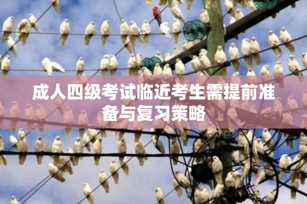 成人四级考试临近考生需提前准备与复习策略