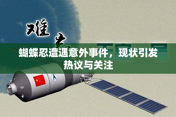 蝴蝶忍遭遇意外事件，现状引发热议与关注