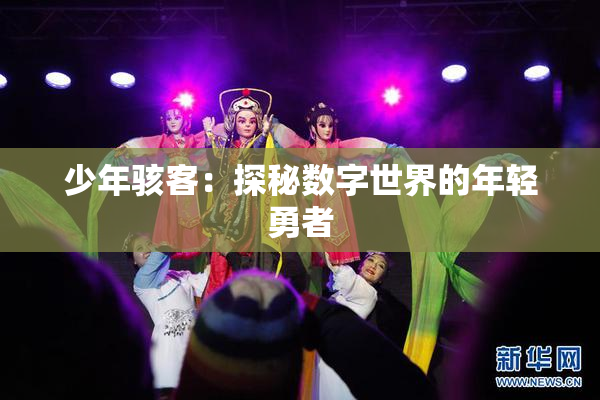 少年骇客：探秘数字世界的年轻勇者