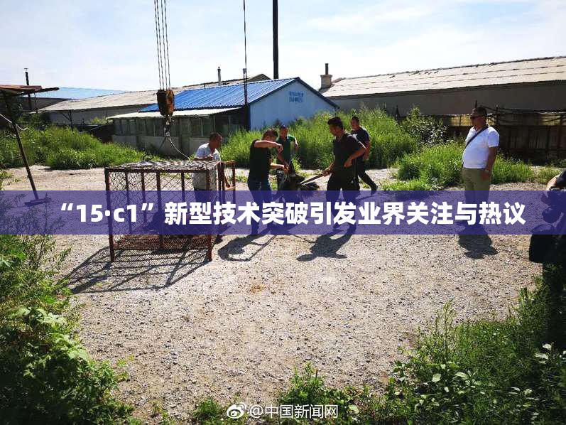 “15·c1”新型技术突破引发业界关注与热议