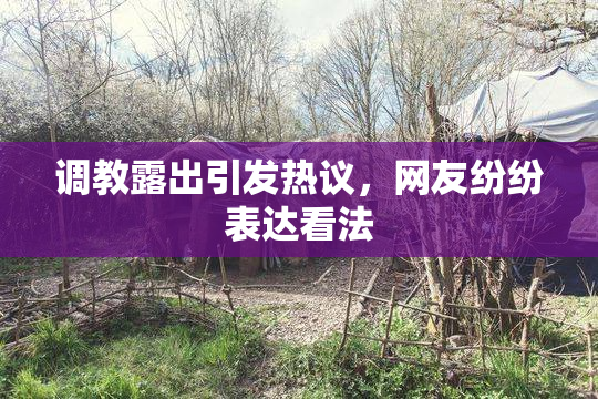 调教露出引发热议，网友纷纷表达看法