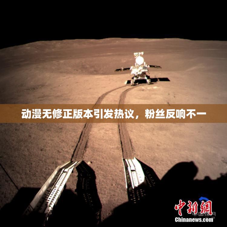 动漫无修正版本引发热议，粉丝反响不一