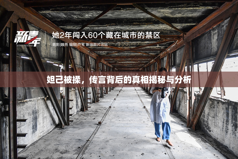 妲己被揉，传言背后的真相揭秘与分析