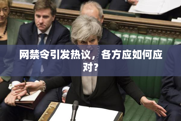 网禁令引发热议，各方应如何应对？