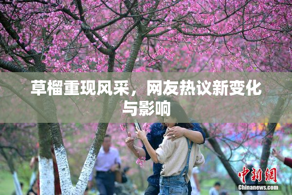 草榴重现风采，网友热议新变化与影响