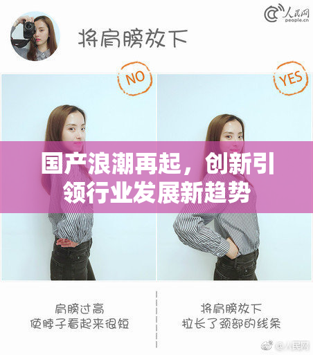 国产浪潮再起，创新引领行业发展新趋势