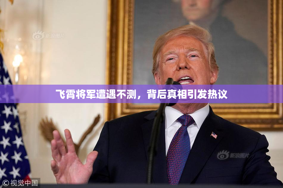 飞霄将军遭遇不测，背后真相引发热议