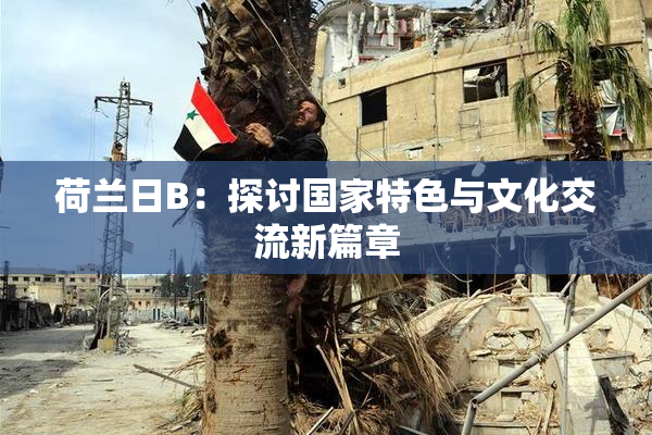荷兰日B：探讨国家特色与文化交流新篇章