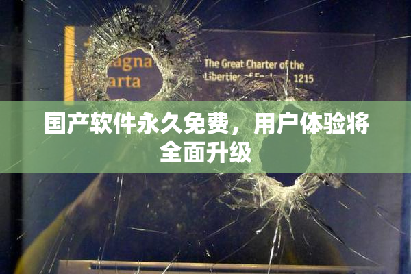 国产软件永久免费，用户体验将全面升级