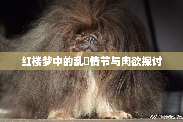 红楼梦中的乱婬情节与肉欲探讨