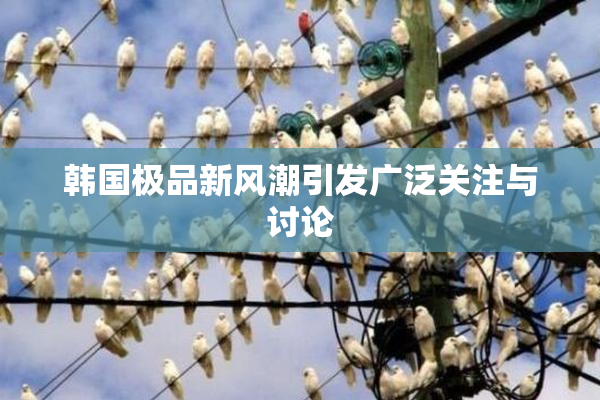 韩国极品新风潮引发广泛关注与讨论