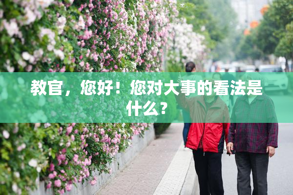 教官，您好！您对大事的看法是什么？