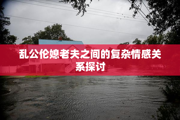 乱公伦媳老夫之间的复杂情感关系探讨