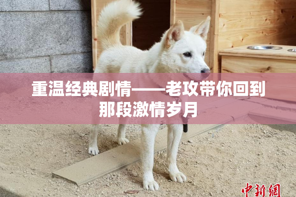 重温经典剧情——老攻带你回到那段激情岁月
