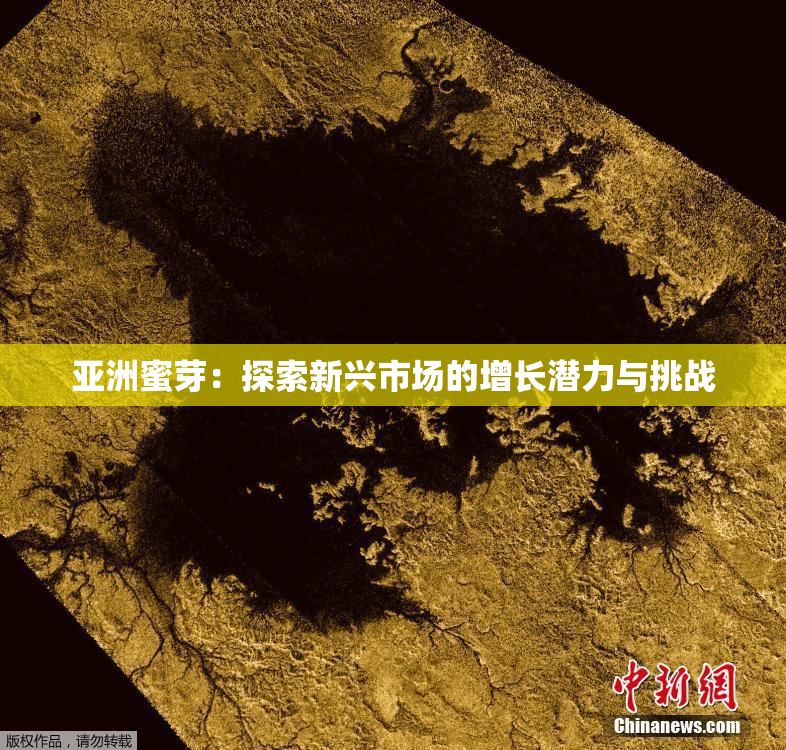 亚洲蜜芽：探索新兴市场的增长潜力与挑战